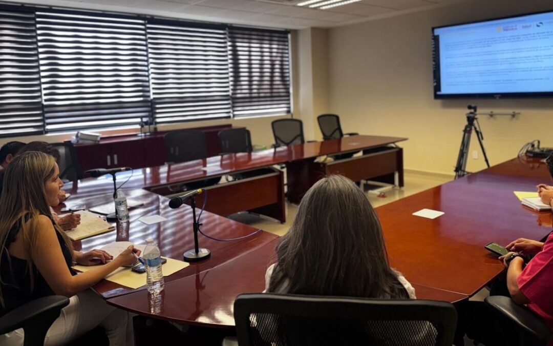 SLP PARTICIPA EN REUNIÓN DEL CONSEJO NACIONAL DE SALUD