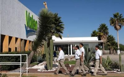 REALIZAN SUPERVISIÓN A CONDICIONES LABORALES DE EMPRESA VALEO
