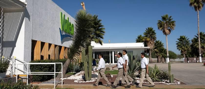 REALIZAN SUPERVISIÓN A CONDICIONES LABORALES DE EMPRESA VALEO