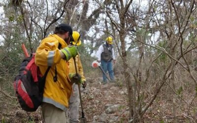 TOMAN ACCIONES PARA EVITAR MÁS INCENDIOS FORESTALES EN EL ESTADO
