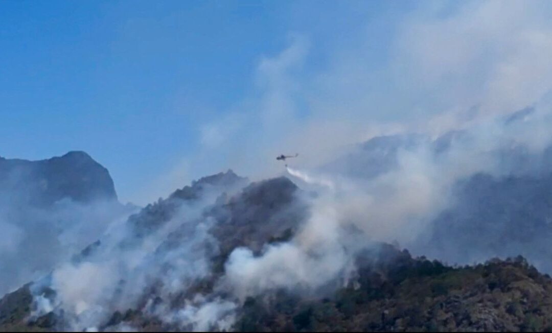 ESTADO DA SEGUIMIENTO A PREVENCIÓN DE INCENDIOS POR ZAFRA