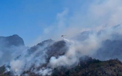 NO HAY INCENDIOS FORESTALES ACTIVOS EN LA ENTIDAD: ESTADO