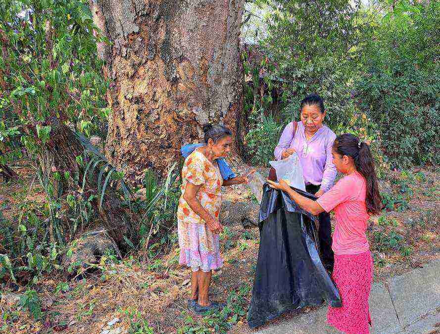 PUEBLO TÉNEK PARTICIPA EN JORNADA DE SALUD
