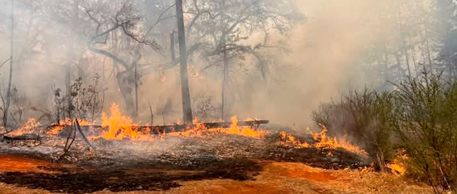 EL FUEGO ALCANZÓ A “EL MADROÑO”
