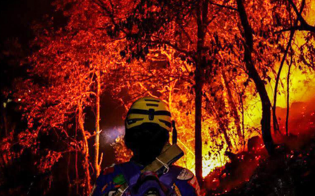 GOBIERNOS TARDARON Y NO EVITARON LA TRAGEDIA AMBIENTAL