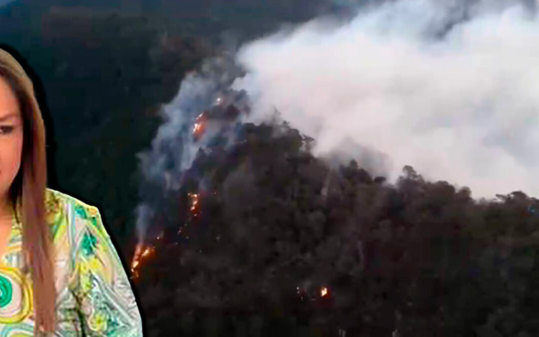 TRAS UNA SEMANA ACTIVO, SONIA MENDOZA ASEGURA QUE INCENDIO EN XILITLA ESTÁ 70% CONTROLADO