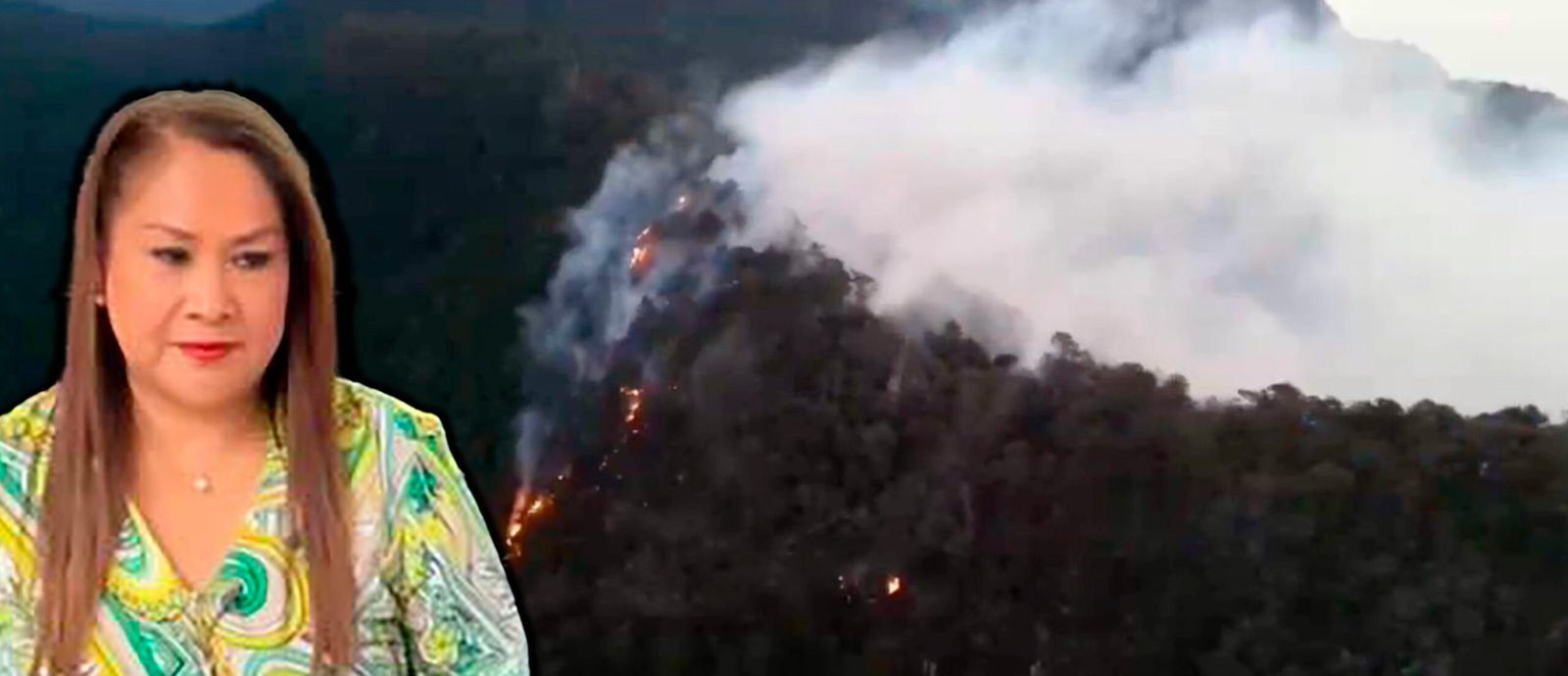 TRAS UNA SEMANA ACTIVO, SONIA MENDOZA ASEGURA QUE INCENDIO EN XILITLA ESTÁ 70% CONTROLADO