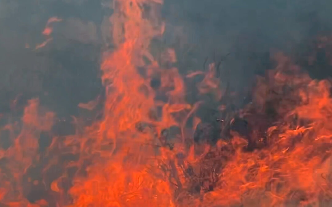 NUEVE INCENDIOS ACTIVOS EN LA ENTIDAD POTOSINA REPORTAN AUTORIDADES