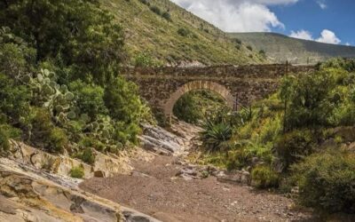 BUSCARÁN ASEGURAR PROTECCIÓN A SITIOS SAGRADOS DEL PUEBLO WIXÁRIKA