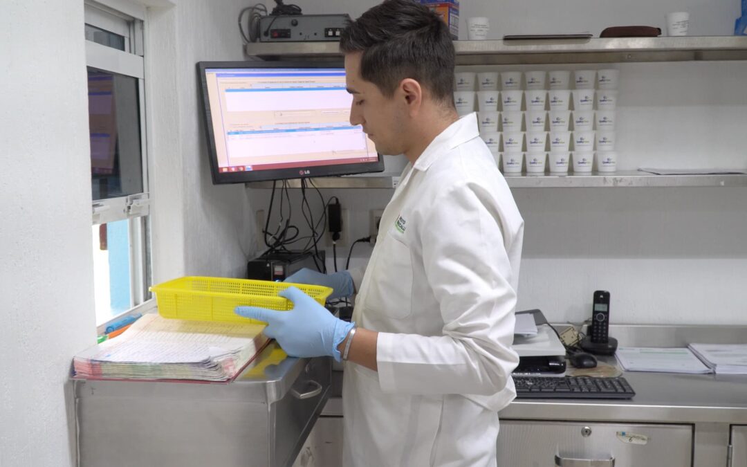 OFRECEN ESTUDIOS TOXICOLÓGICOS A BAJO COSTO A TRAVÉS DEL INSTITUTO TEMAZCALLI