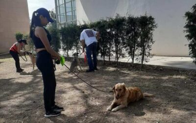 INICIAN GRUPOS DE OBEDIENCIA CANINA A BAJO COSTO