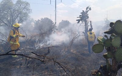 COMITÉ DEL MANEJO DEL FUEGO INFORMÓ QUE NO HAY INCENDIOS FORESTALES ACTIVOS EN LA ENTIDAD