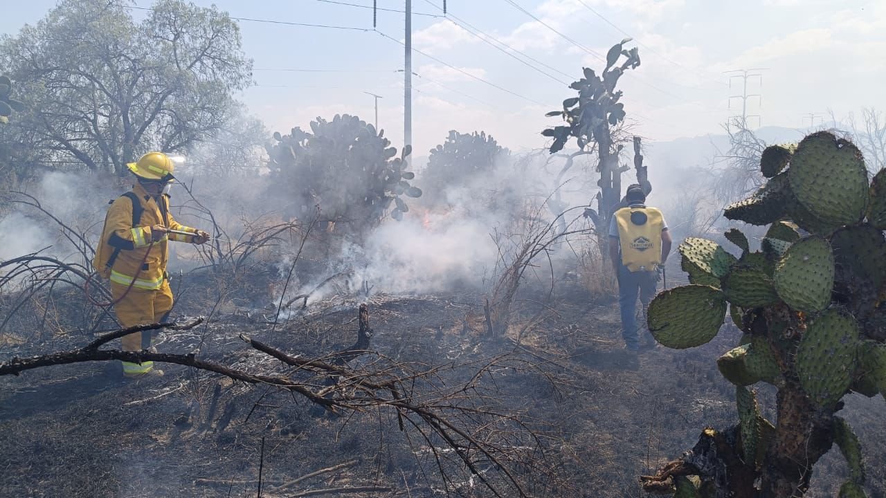 COMITÉ DEL MANEJO DEL FUEGO INFORMÓ QUE NO HAY INCENDIOS FORESTALES ACTIVOS EN LA ENTIDAD