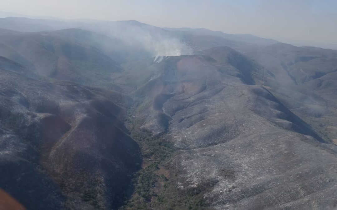 PRESENTAN INICIATIVA PARA SANCIONAR A QUIENES PROVOQUEN INCENDIOS EN SLP