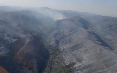 PRESENTAN INICIATIVA PARA SANCIONAR A QUIENES PROVOQUEN INCENDIOS EN SLP