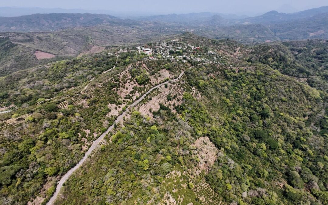 INICIAN REHABILITACIÓN DE CAMINO POR LA SIERRA A LA COMUNIDAD DE TLAXCO, EN TAMAZUNCHALE