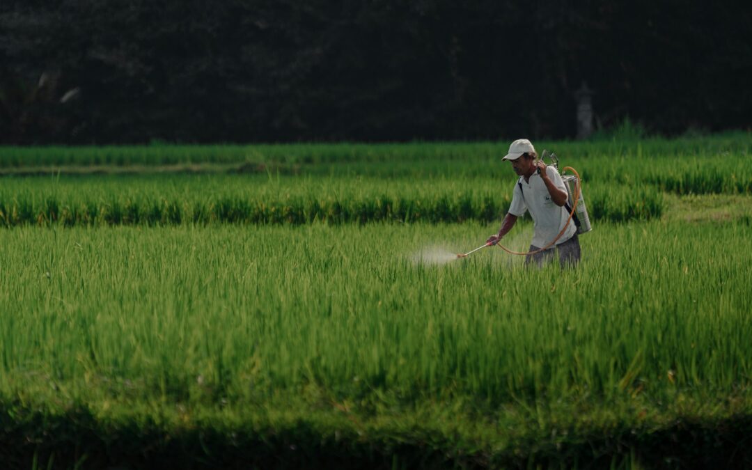 PROYECTAN INVERCIÓN DE 83 MDP EN SANIDAD AGROALIMENTARIA EN SLP