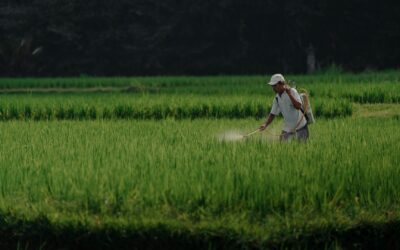 PROYECTAN INVERCIÓN DE 83 MDP EN SANIDAD AGROALIMENTARIA EN SLP