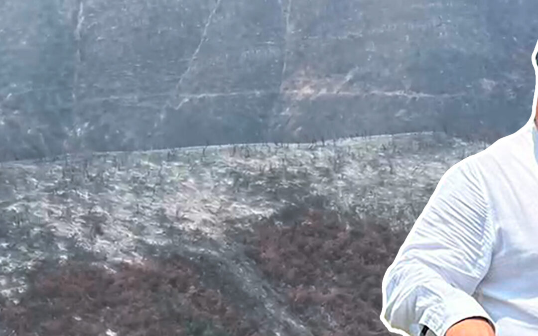 FUEGO DEVASTÓ SELVA EN TAMAZUNCHALE POR LENTA ACCIÓN DE LAS AUTORIDADES