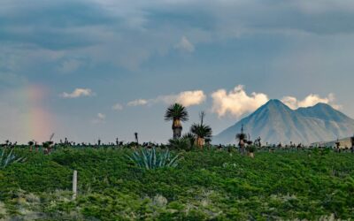 LANZARÁN CATÁLOGO DE FLORA Y FAUNA EN PELIGRO DE EXTINCIÓN DEL ESTADO