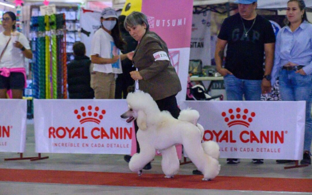 REALIZAN EXPOSICIÓN CANINA 2025 EN EL ESTADO