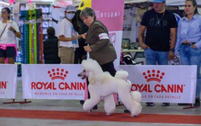 REALIZAN EXPOSICIÓN CANINA 2025 EN EL ESTADO