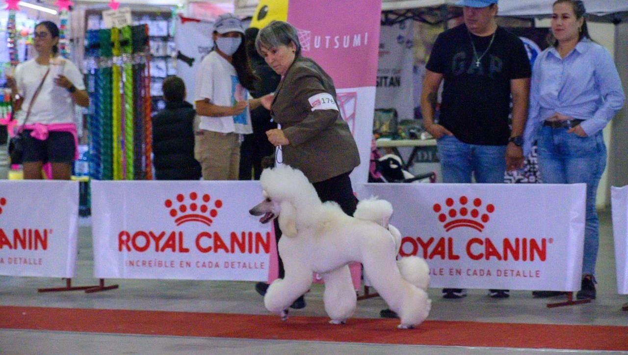 REALIZAN EXPOSICIÓN CANINA 2025 EN EL ESTADO