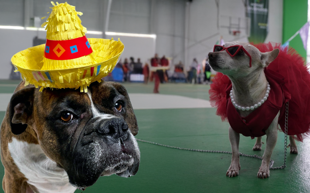 SE LLEVÓ A CABO DOG FEST JUVENTUD 2025