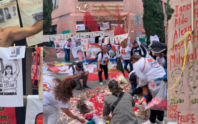 EXIGEN DESTITUCIÓN INMEDIATA DE LA PRESIDENTA DE LA CEDH EN SLP
