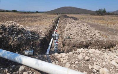 ENTREGAN APOYOS AGROPECUARIOS A PRODUCTORES DEL ALTIPLANO