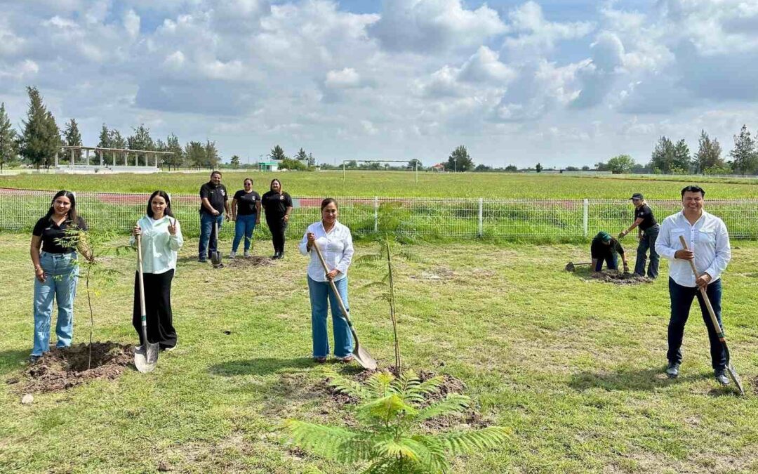 REALIZAN CAMPAÑA DE REFORESTACIÓN EN PARQUE LOS AZAHARES EN RIOVERDE