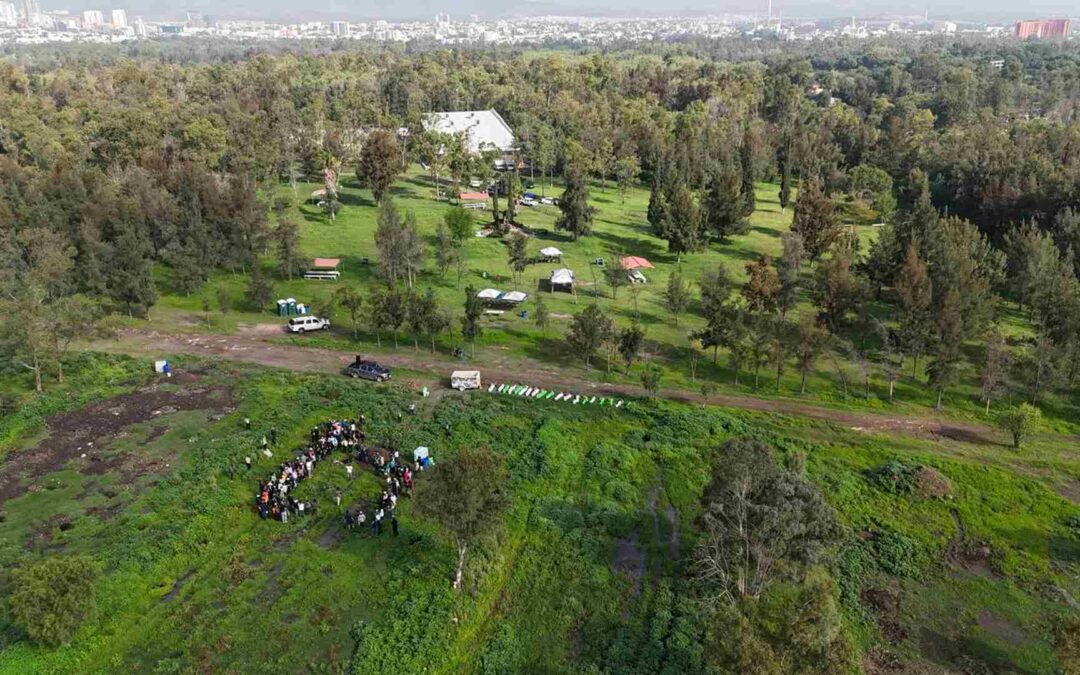 MÁS DE 600 ÁRBOLES FUERON PLANTADOS EN PARQUES TANGAMANGA