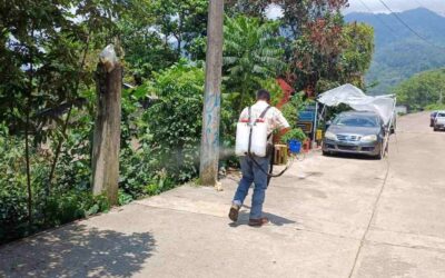 192 CASOS CONFIRMADOS DE DENGUE EN SLP EN ESTE 2025