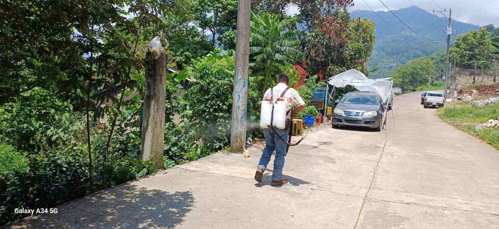 192 CASOS CONFIRMADOS DE DENGUE EN SLP EN ESTE 2025