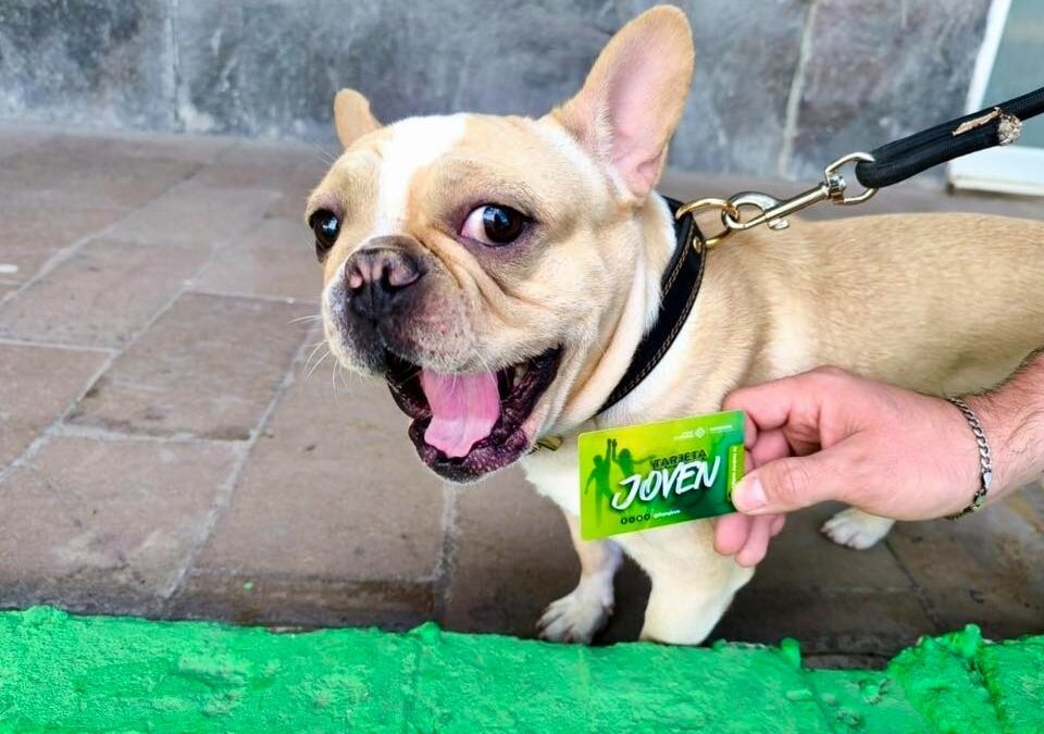 LLEVAN PROGRAMAS DE APOYOS ESTATALES A MATEHUALA