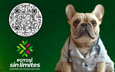 REALIZARÁN CAMPAÑA “BIENESTAR PERRUNO” PARA JÓVENES Y SUS MASCOTAS
