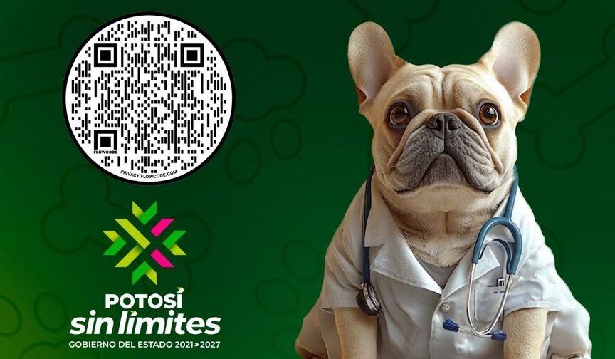 REALIZARÁN CAMPAÑA “BIENESTAR PERRUNO” PARA JÓVENES Y SUS MASCOTAS