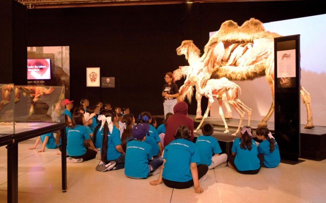 EXPOSICIÓN “BODY WORLDS: ANIMAL INSIDE OUT” OFRECE 2X1 EN SUS ÚLTIMAS SEMANAS