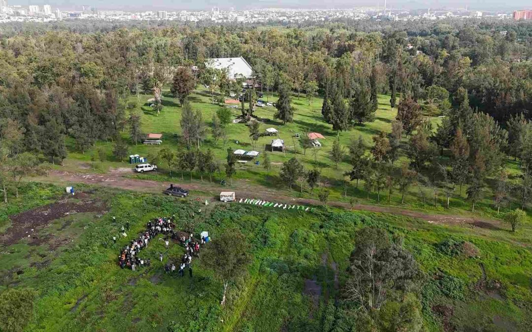 SUPERVISAN RESTAURACIÓN FORESTAL EN EL PARQUE TANGAMANGA I