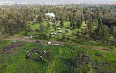 SUPERVISAN RESTAURACIÓN FORESTAL EN EL PARQUE TANGAMANGA I