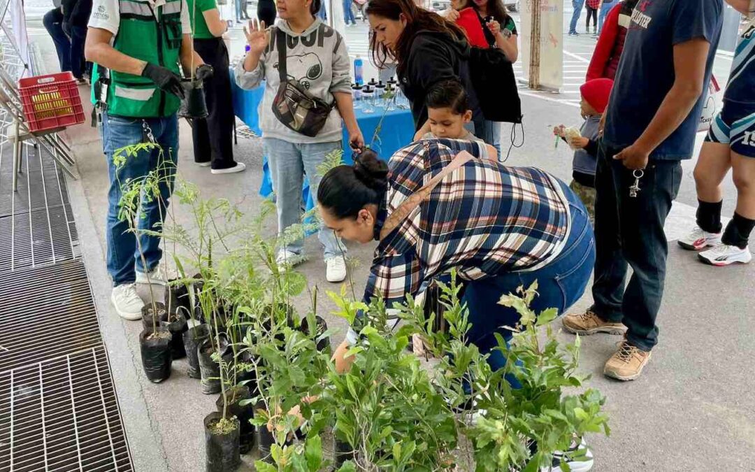 FUE REALIZADA JORNADA DE RECICLAJE Y REFORESTACIÓN POR DÍA DEL ÁRBOL