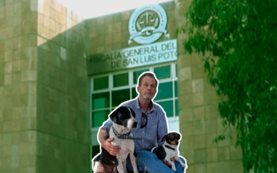 SILENCIO OFICIAL TRAS DESAPARICIÓN DE ESTADOUNIDENSE EN SLP