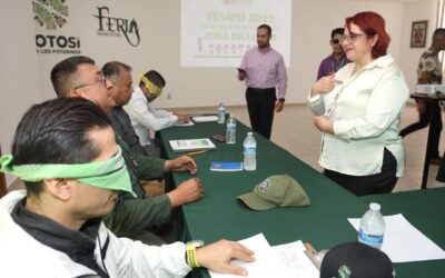 CAPACITARÁN A PERSONAL DEL ESTADO EN MATERIA DE INCLUSIÓN