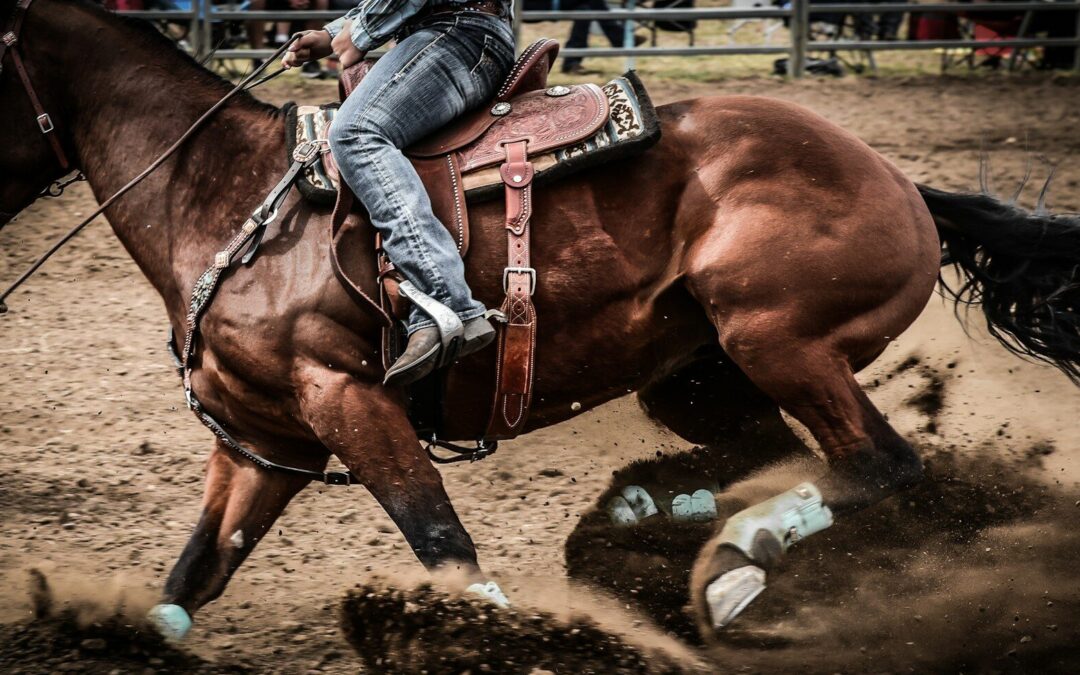 RODEO DE CUERNOS CHUECOS FUE REALIZADO EN LA ARENA POTOSÍ