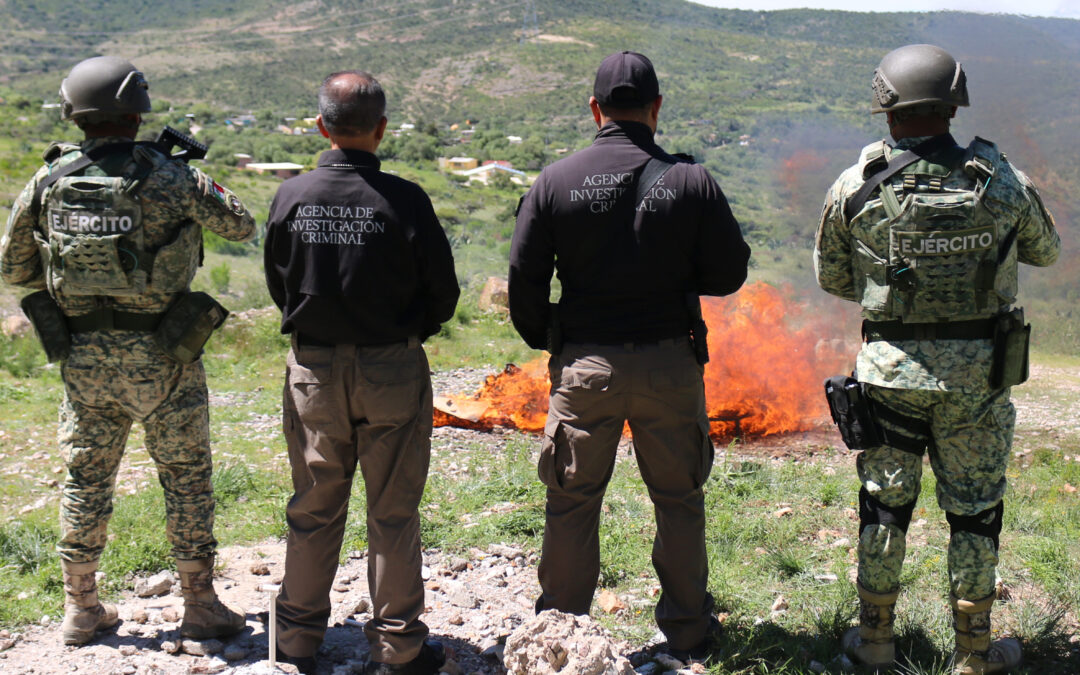 FGR Y SEDENA INCINERAN DROGAS Y EQUIPO QUE ERA USADO POR DELINCUENTES EN SLP
