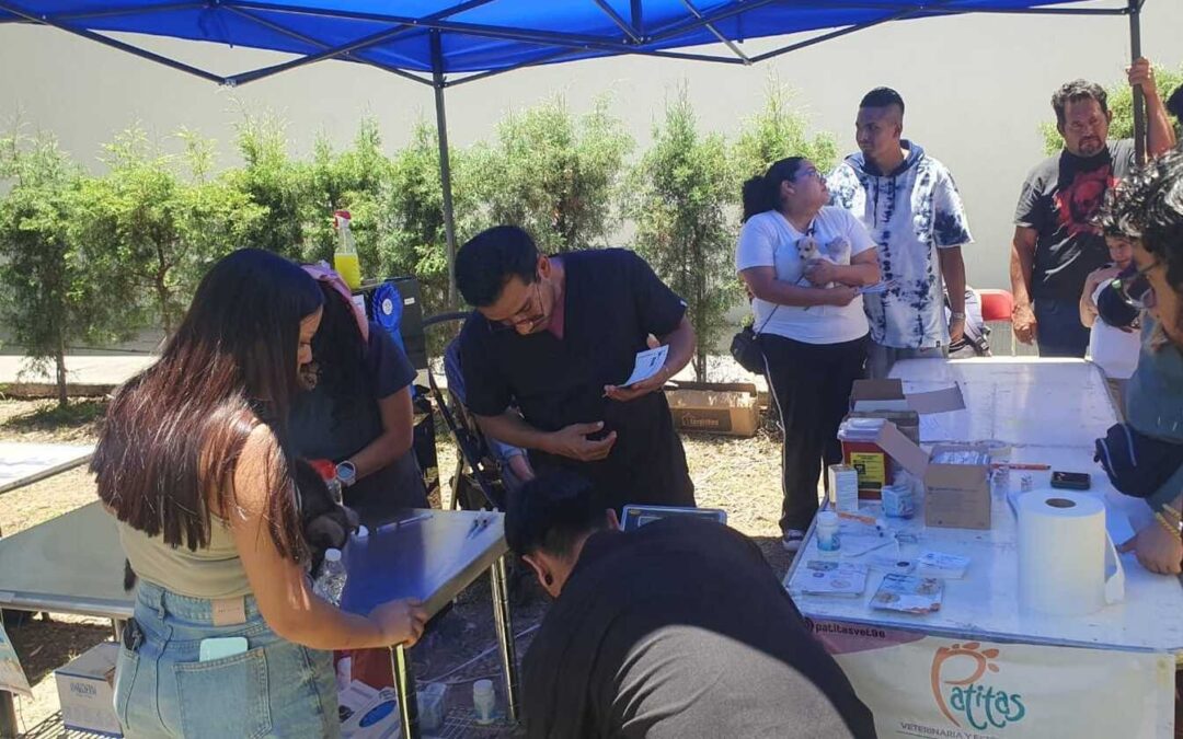 REALIZAN CAMPAÑA DE BIENESTAR PARA MASCOTAS EN EL ESTADO