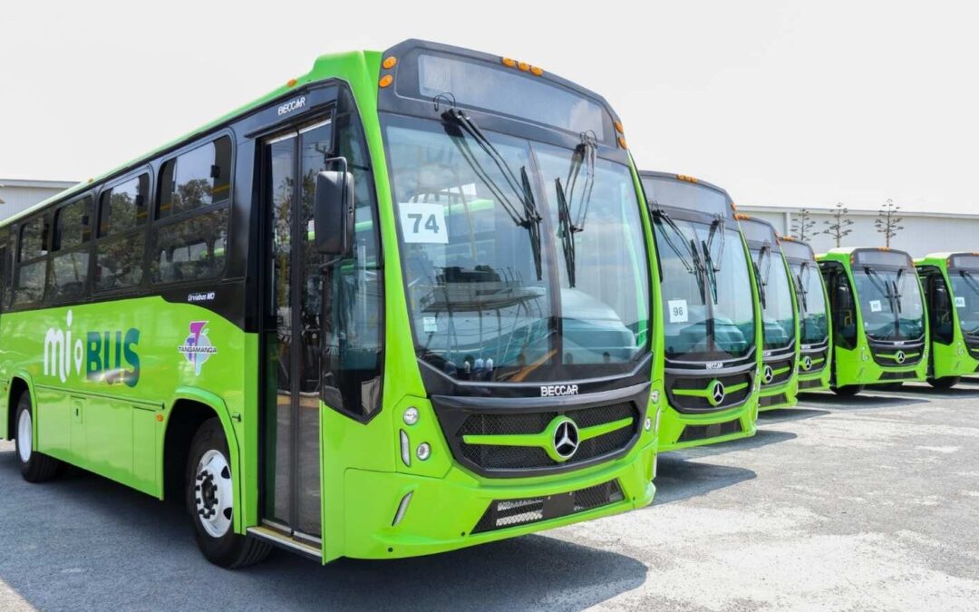 HABILITAN RUTAS DE TRANSPORTE Y SERVICIO GRATUITO PARA LA FENAPO 2025