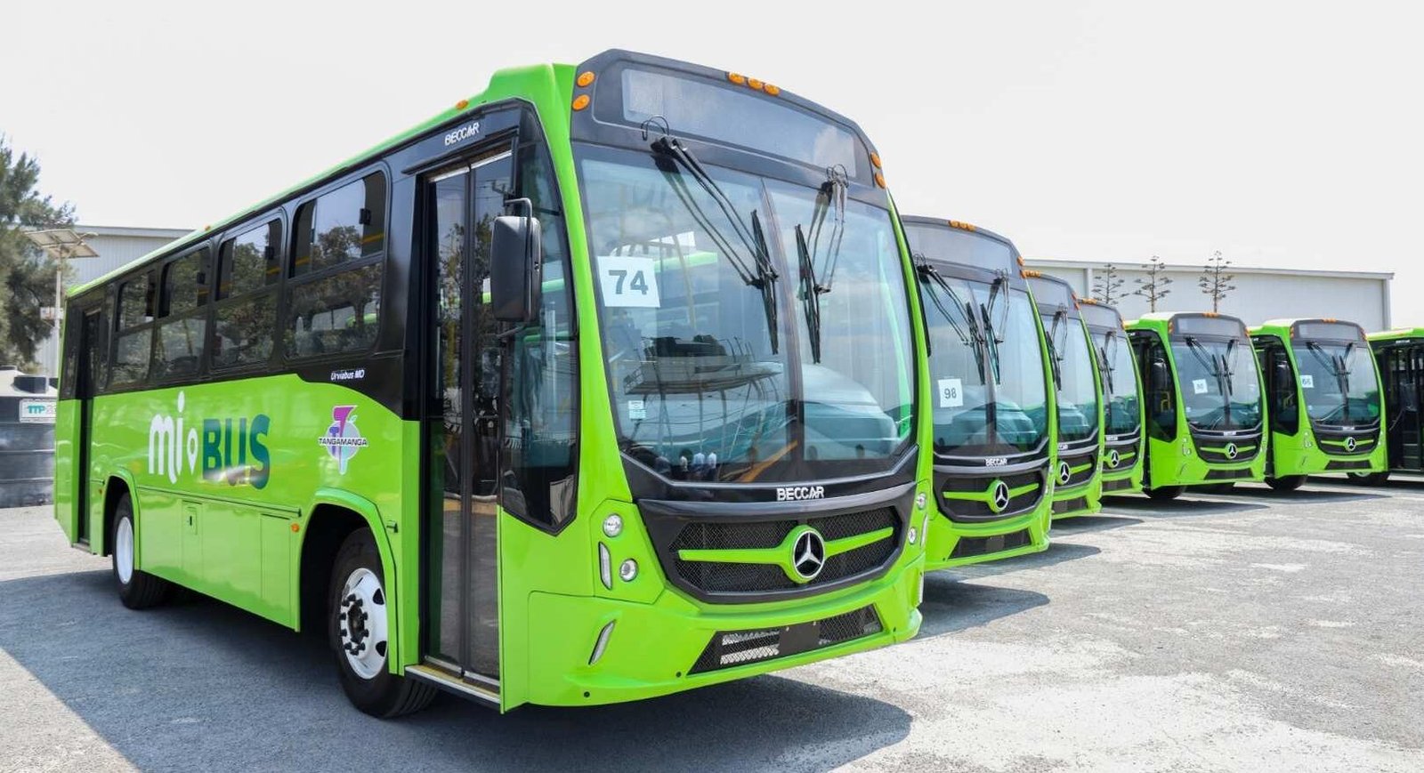 HABILITAN RUTAS DE TRANSPORTE Y SERVICIO GRATUITO PARA LA FENAPO 2025