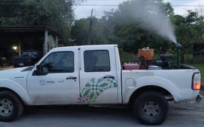 REGISTRAN REDUCCIÓN EN LOS CASOS DE DENGUE EN EL ESTADO EN 2025