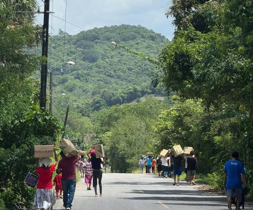 ENTREGAN APOYOS DEL PROGRAMA DE SEGURIDAD ALIMENTARIA EN DIVERSOS MUNICIPIOS DE SLP
